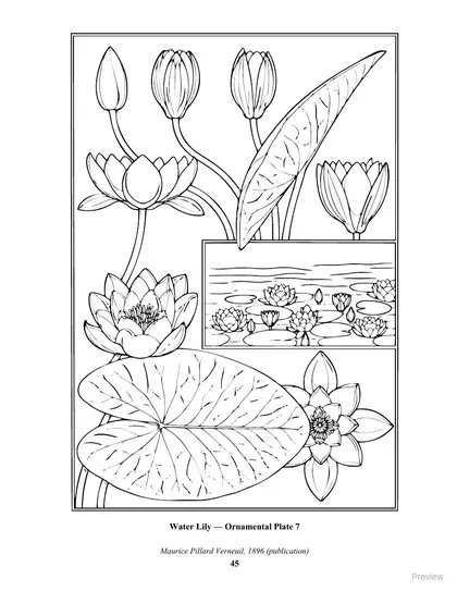 Coloring page: Water Lily, Ornamental Plate 7 by Maurice Pillard Verneuil, 1896